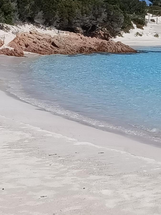 קניגיונה Scugnizza Smeralda מראה חיצוני תמונה